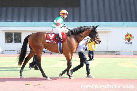 f:id:kaerun4451:20190511025958j:plain f:id:kaerun4451:20190511025958j:plain