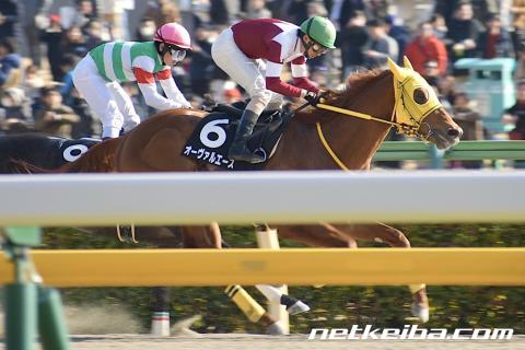 f:id:kaerun4451:20190511062128j:plain f:id:kaerun4451:20190511062128j:plain