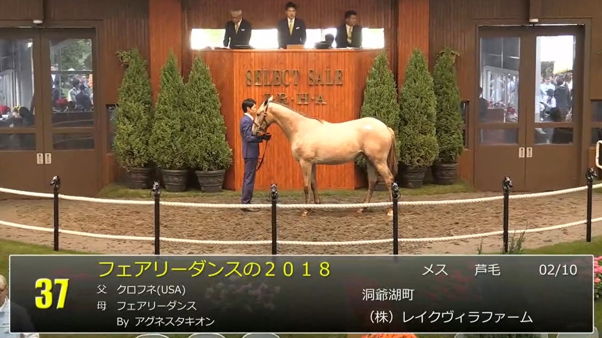 f:id:kaerun4451:20190712131448j:plain