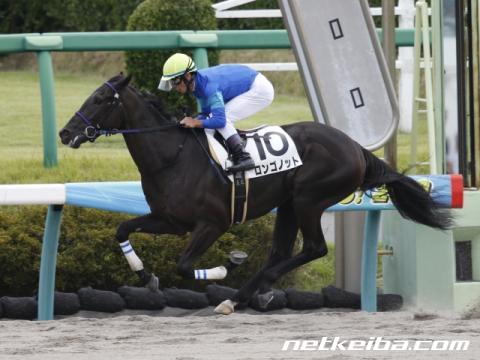 f:id:kaerun4451:20191101104618j:plain f:id:kaerun4451:20191101104618j:plain