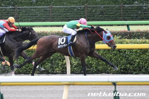 f:id:kaerun4451:20191203161707j:plain