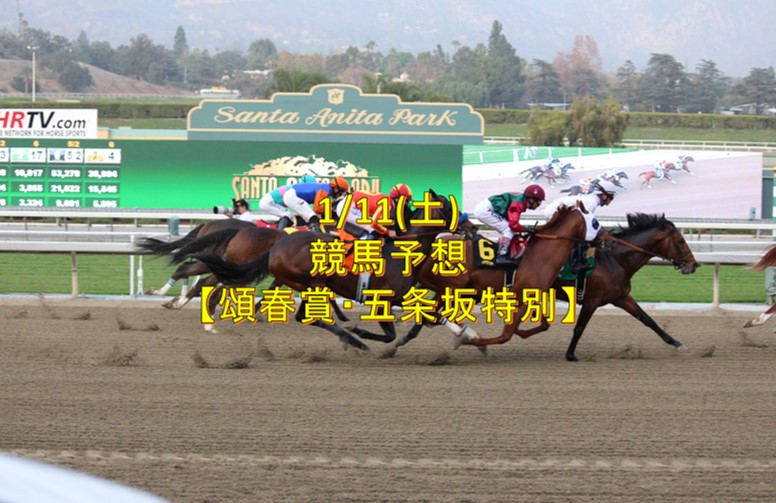 f:id:kaerun4451:20200110224135j:plain f:id:kaerun4451:20200110224135j:plain