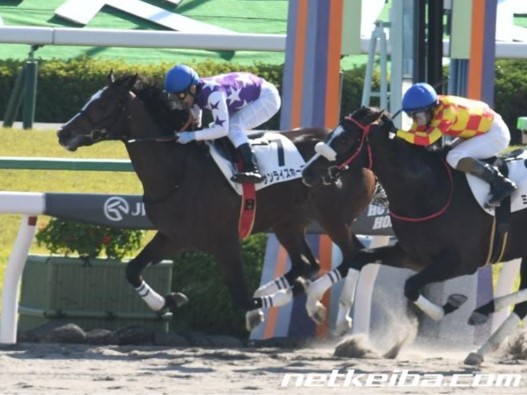 f:id:kaerun4451:20200123014514j:plain f:id:kaerun4451:20200123014514j:plain