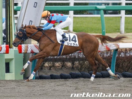 f:id:kaerun4451:20200123014953j:plain f:id:kaerun4451:20200123014953j:plain