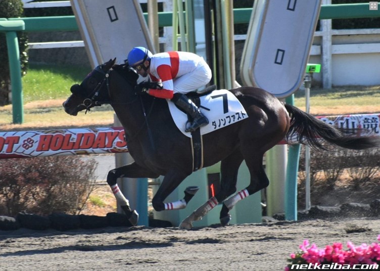 f:id:kaerun4451:20200123015157j:plain f:id:kaerun4451:20200123015157j:plain