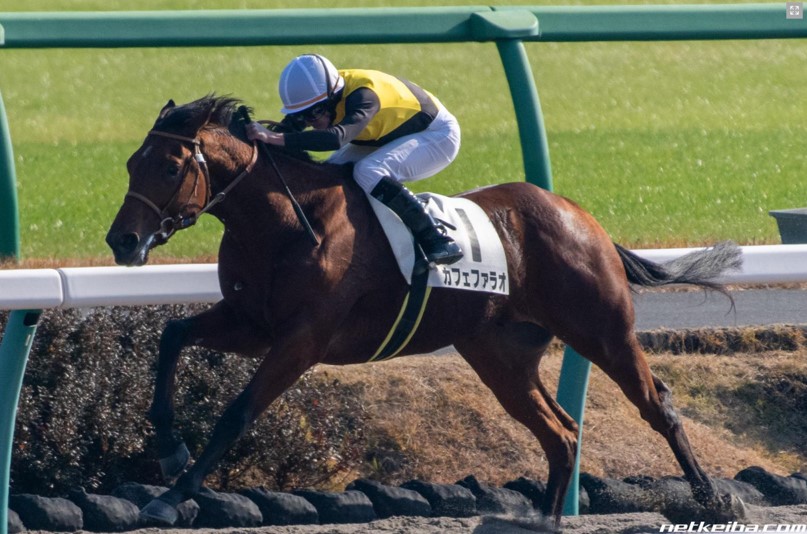 f:id:kaerun4451:20200123015357j:plain f:id:kaerun4451:20200123015357j:plain