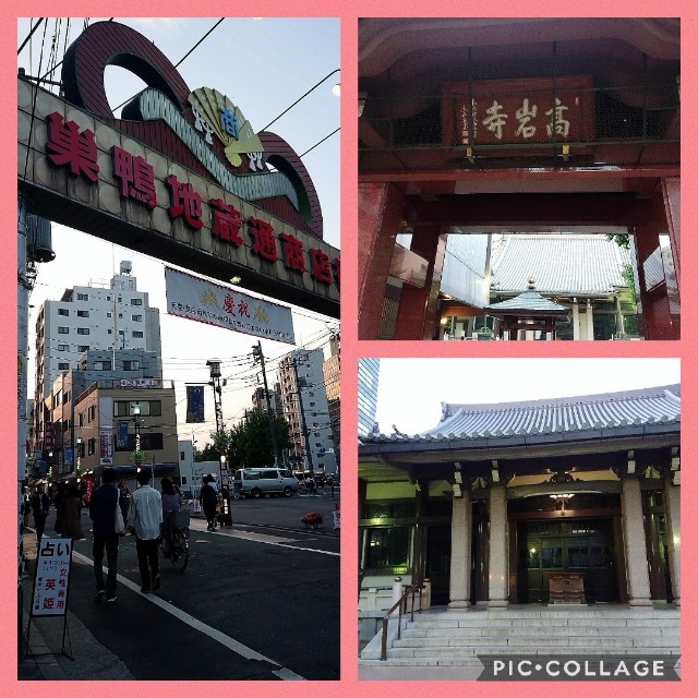 f:id:kaezoo:20190511183953j:image