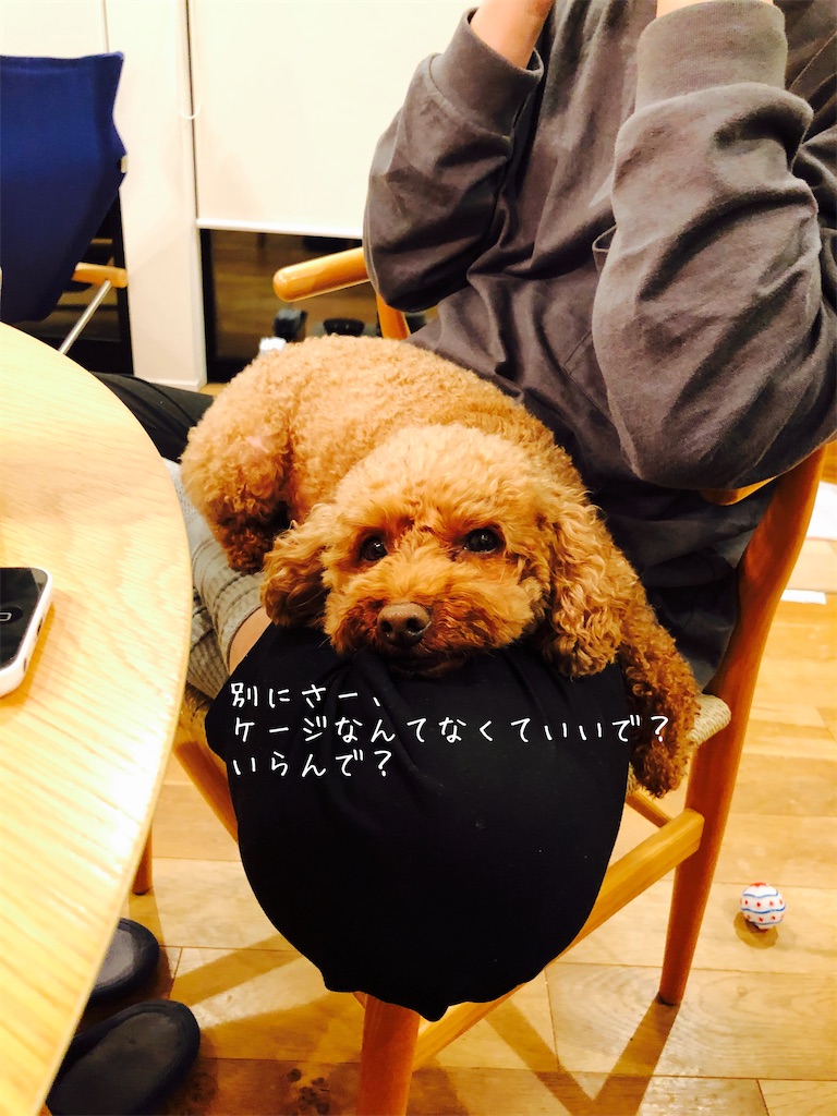 スカンジナビアンペットケージ イヌと夫婦の 3人田舎暮らしの日記 スカンジナビアンペットケージ イヌと夫婦の 3人田舎暮らしの日記