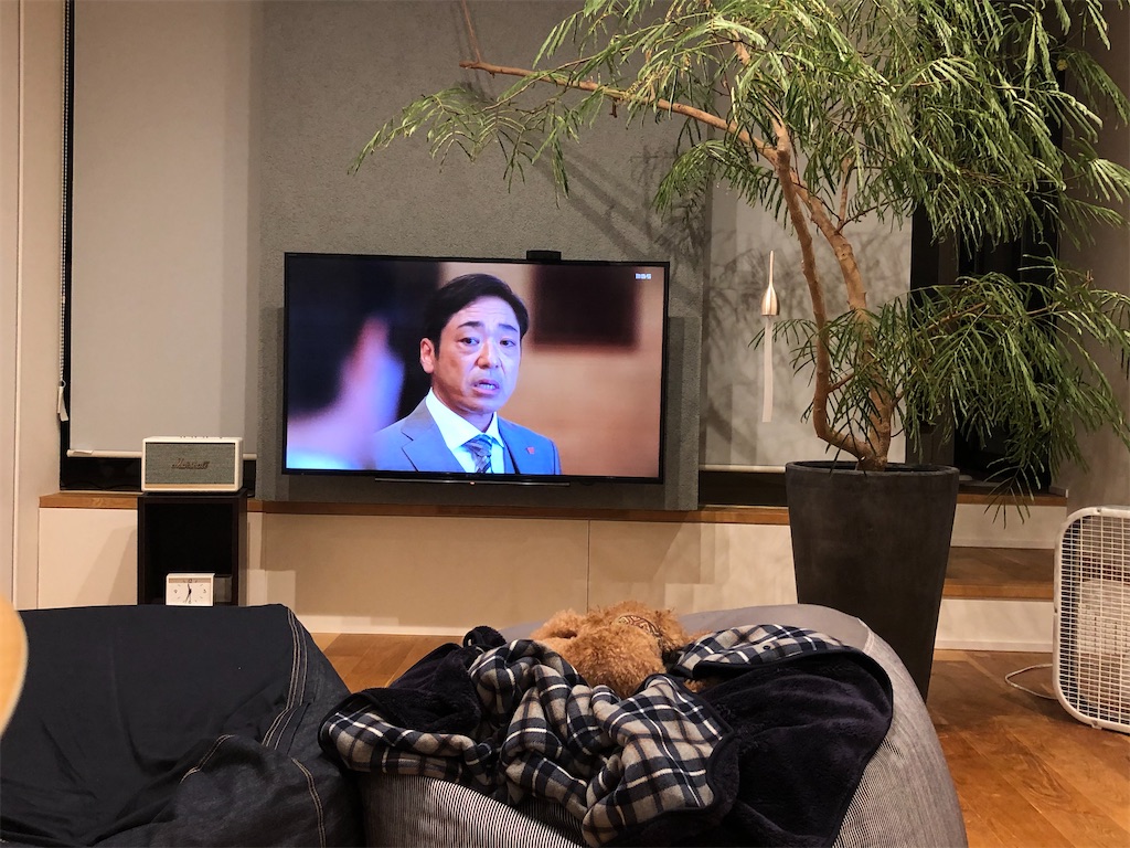 f:id:kaffo:20200905160436j:image