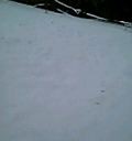 f:id:kafofeak:20060206233135j:image