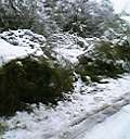 f:id:kafofeak:20060206233403j:image