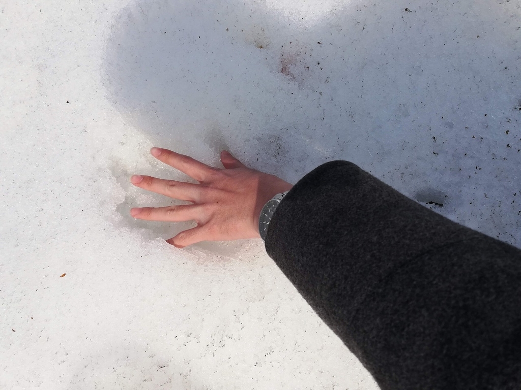 f:id:kafort:20190312132826j:plain f:id:kafort:20190312132826j:plain