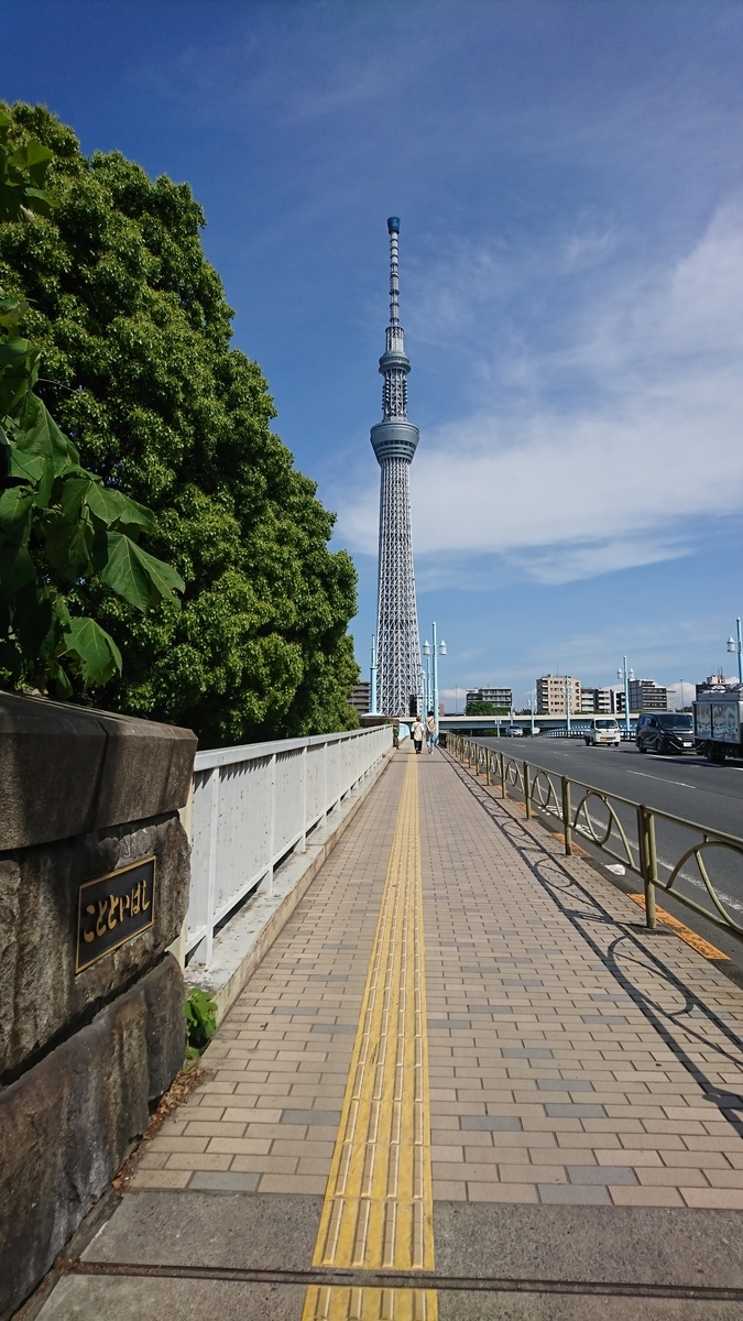 f:id:kafu-kai:20190602211721j:plain f:id:kafu-kai:20190602211721j:plain