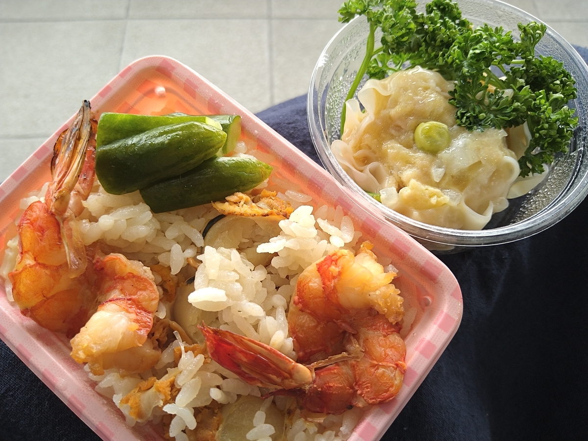 f:id:kafu-kai:20210521120256j:plain