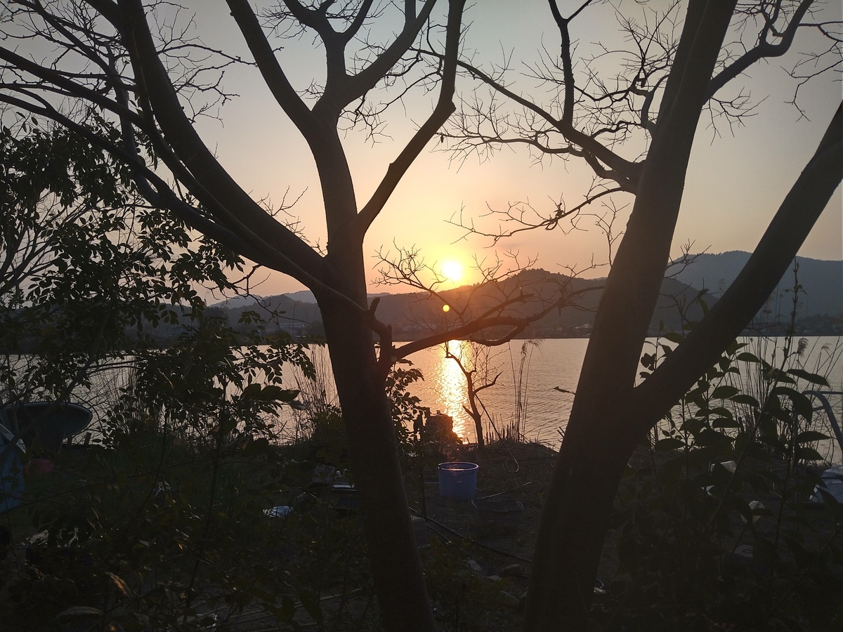 f:id:kafu-kai:20220409054642j:plain