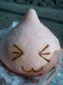 f:id:kafukanoochan:20110402184345g:image