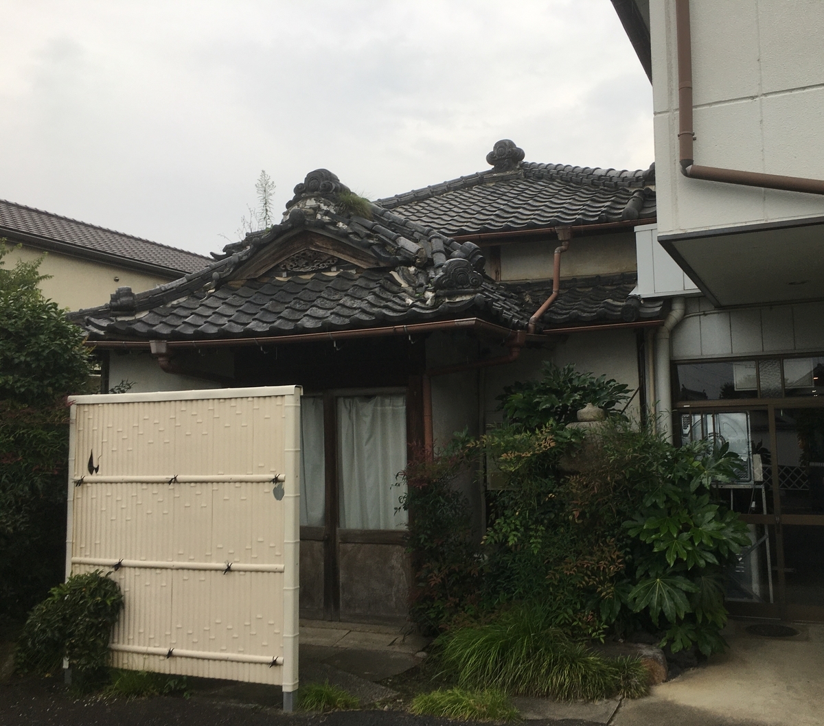f:id:kaga_rin0321:20200820203729j:plain f:id:kaga_rin0321:20200820203729j:plain