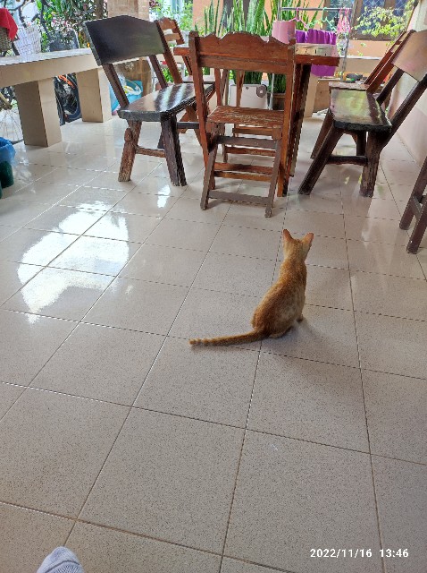 f:id:kaga_sun:20230922183243j:image