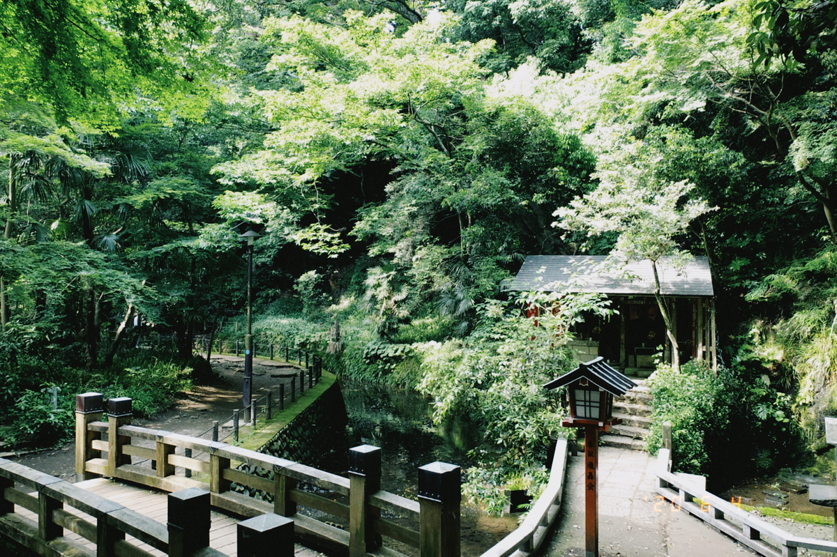 f:id:kagainakunaru:20200614075311j:plain f:id:kagainakunaru:20200614075311j:plain