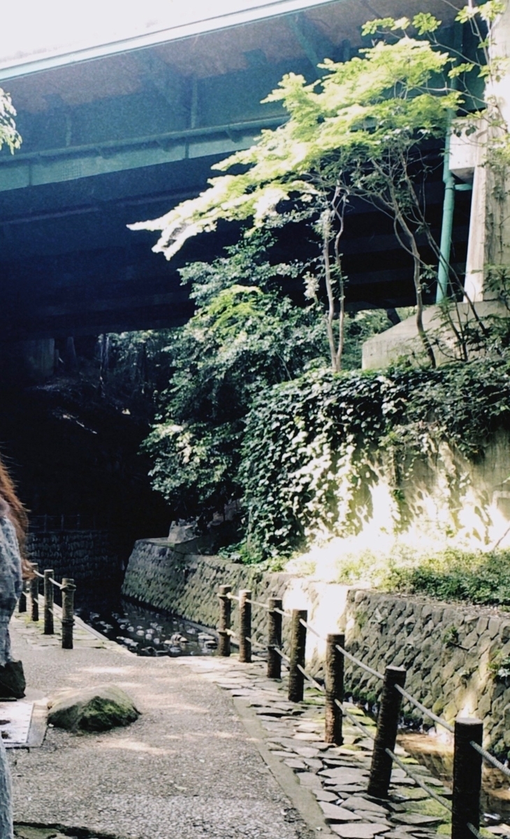 f:id:kagainakunaru:20200614075410j:plain f:id:kagainakunaru:20200614075410j:plain