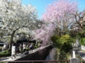 20100408151231