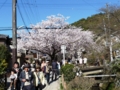 20100408151638