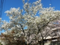 20100408151758