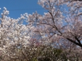 20100408151911