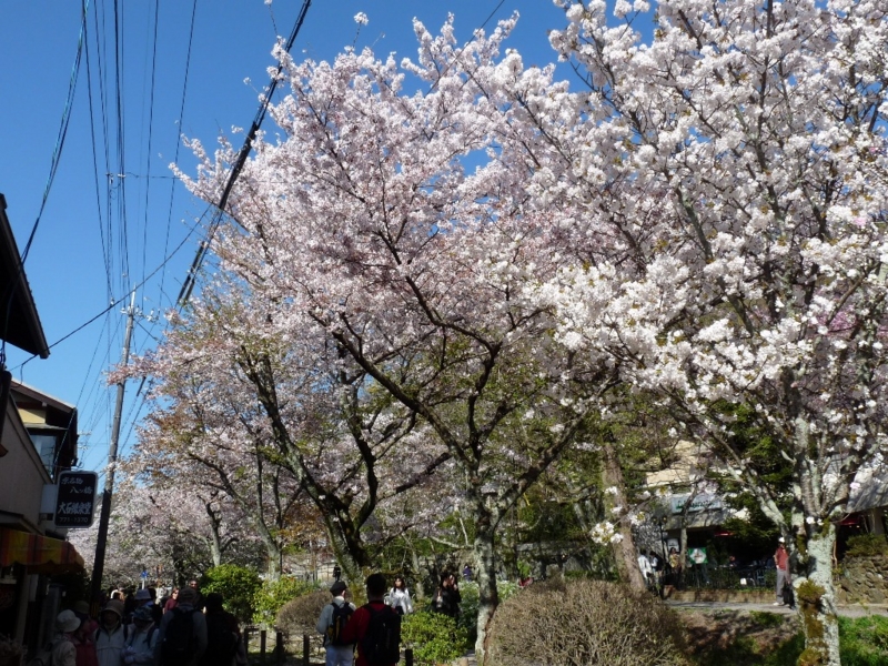 20100408151922