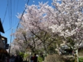 20100408151922