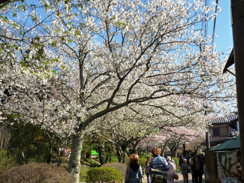 20100408155344