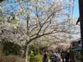 20100408155344