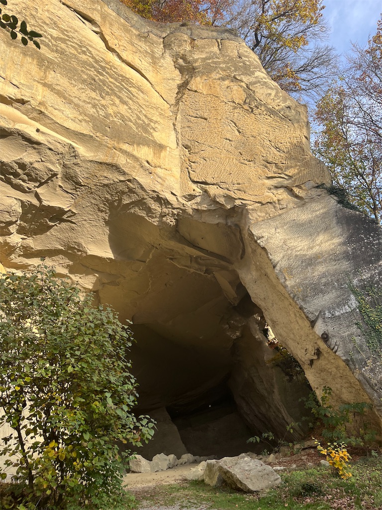 f:id:kagami-3350:20250219212220j:image f:id:kagami-3350:20250219212220j:image