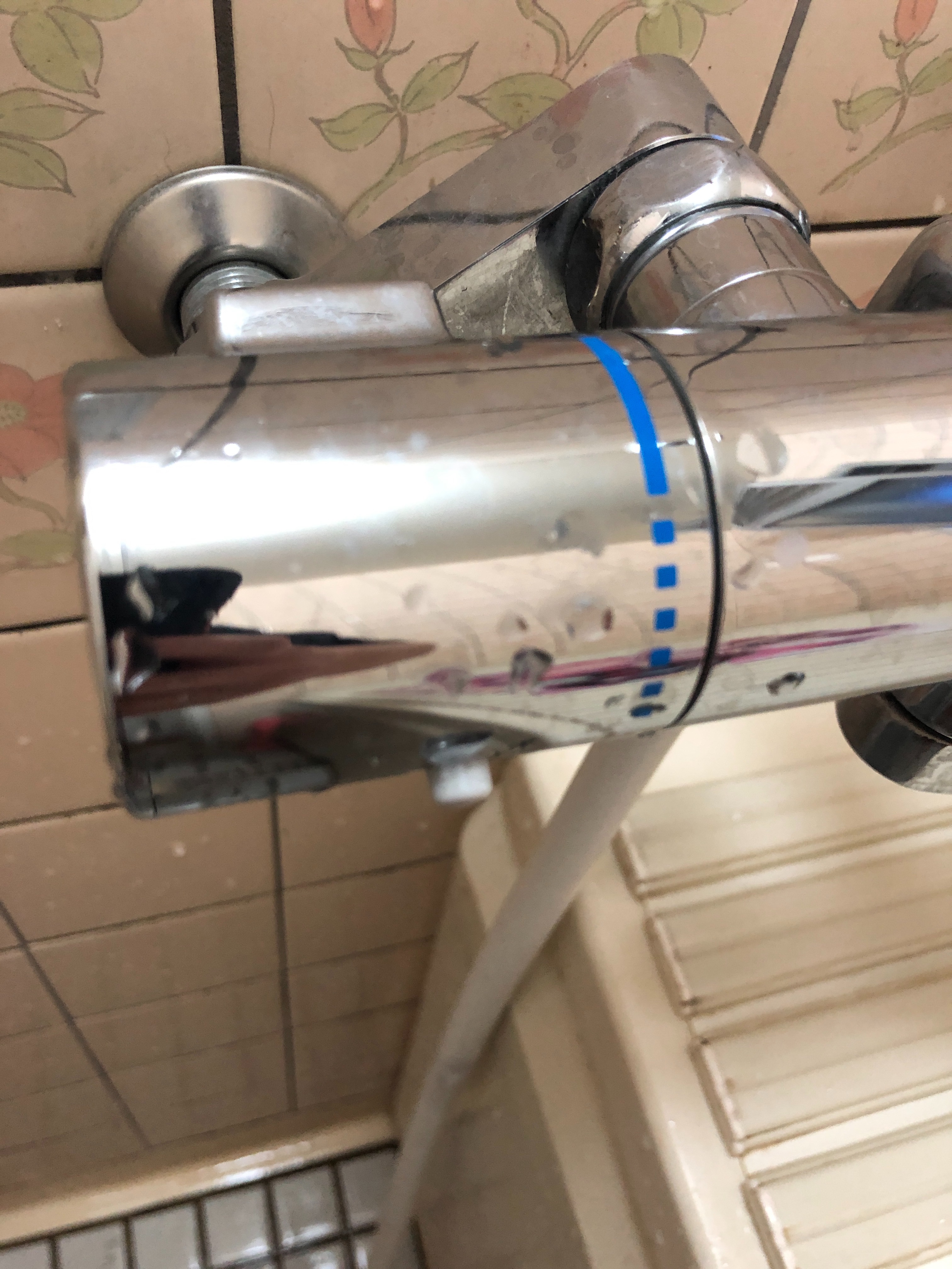 f:id:kagami_setsuna:20190627085141j:image f:id:kagami_setsuna:20190627085141j:image