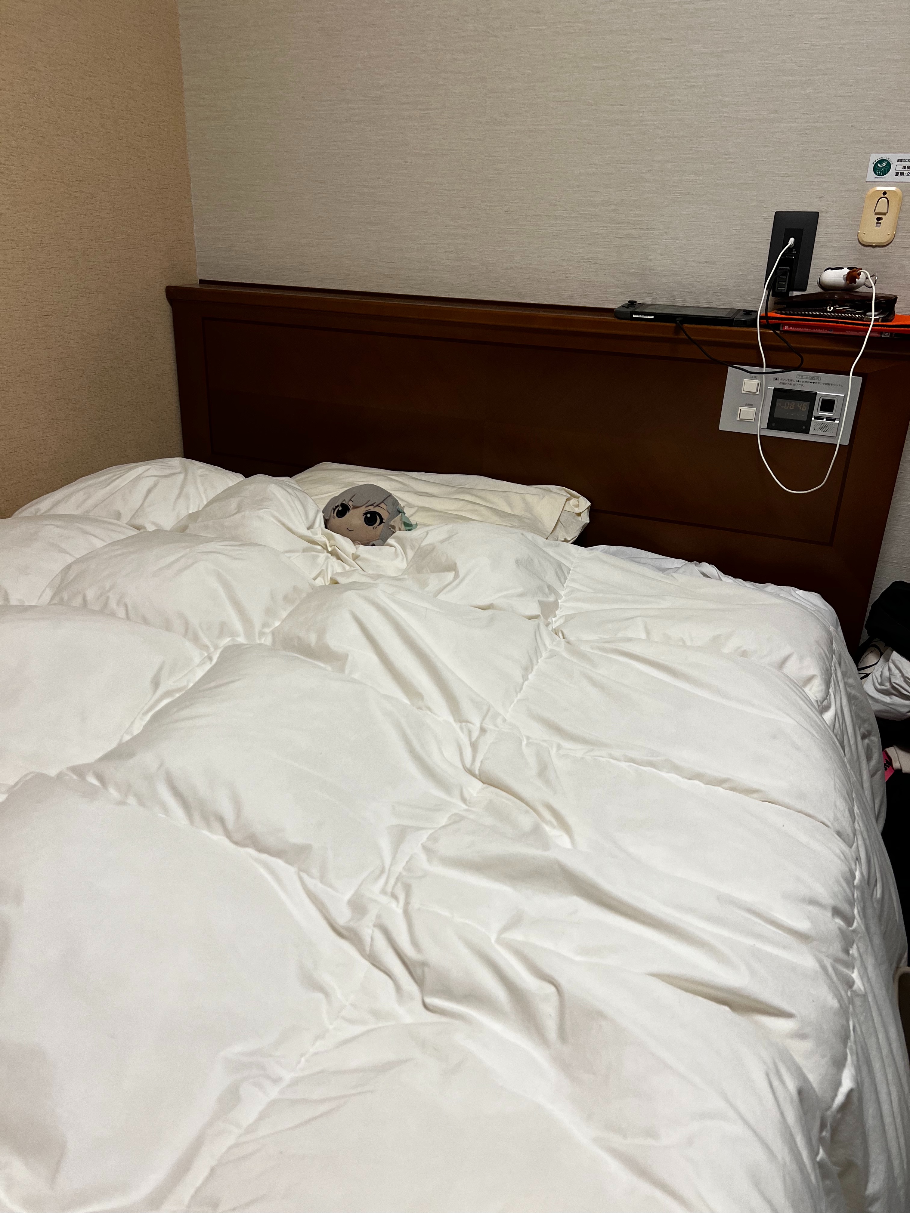 f:id:kagami_setsuna:20221123184012j:image
