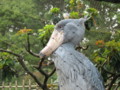 上野動物園 ハシビロコウ