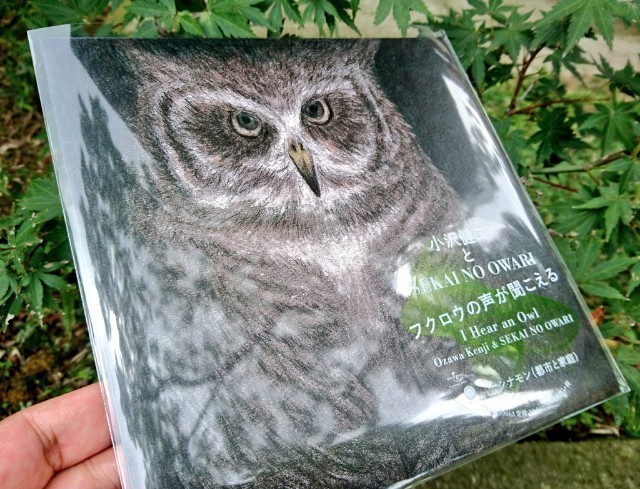 小沢健二とSEKAI NO OWARI「フクロウの声が聞こえる」について(前編