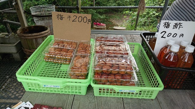 f:id:kagayaki777:20190815211853j:image