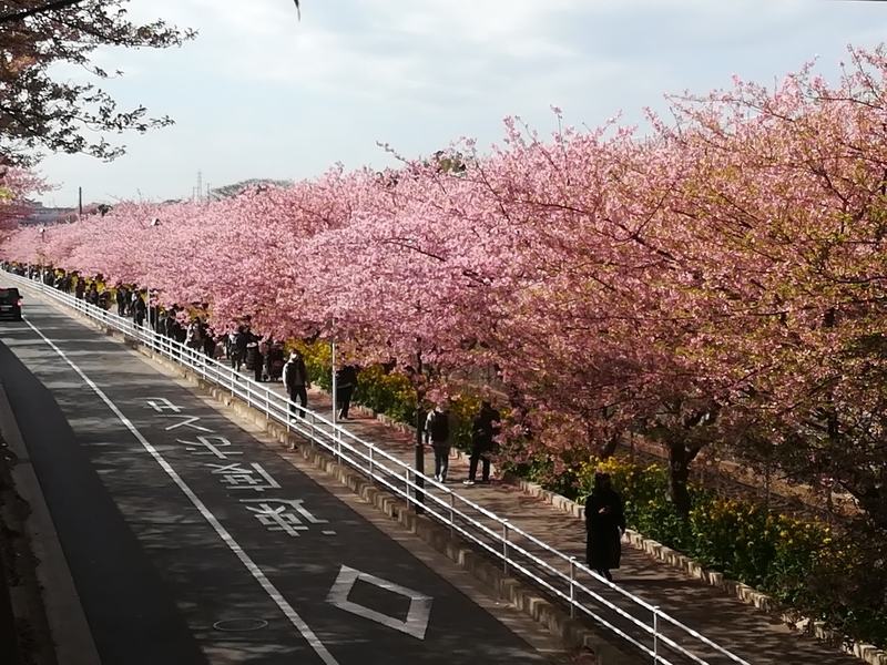 f:id:kagayakukoe:20210314143922j:plain