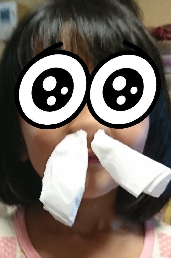f:id:kage-tora-sama:20190509134948j:plain f:id:kage-tora-sama:20190509134948j:plain