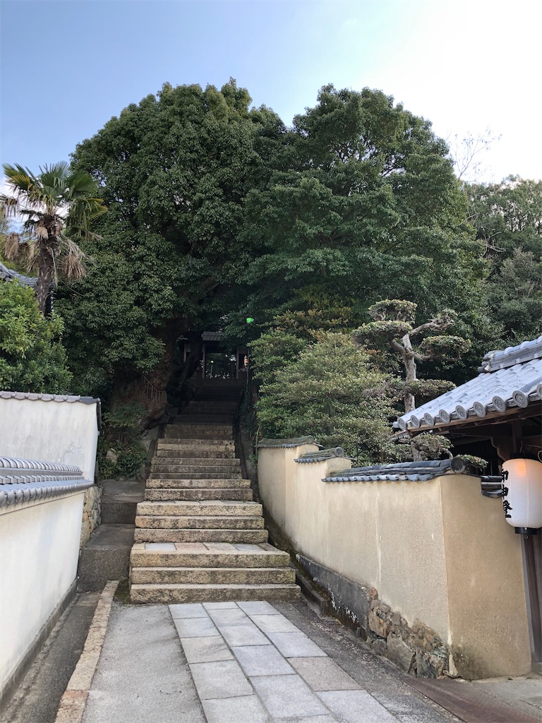 f:id:kagebana:20200103104659j:image