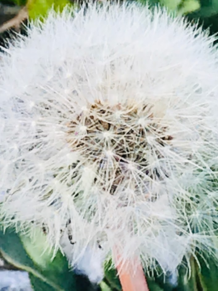 f:id:kagebase:20191227135753j:plain