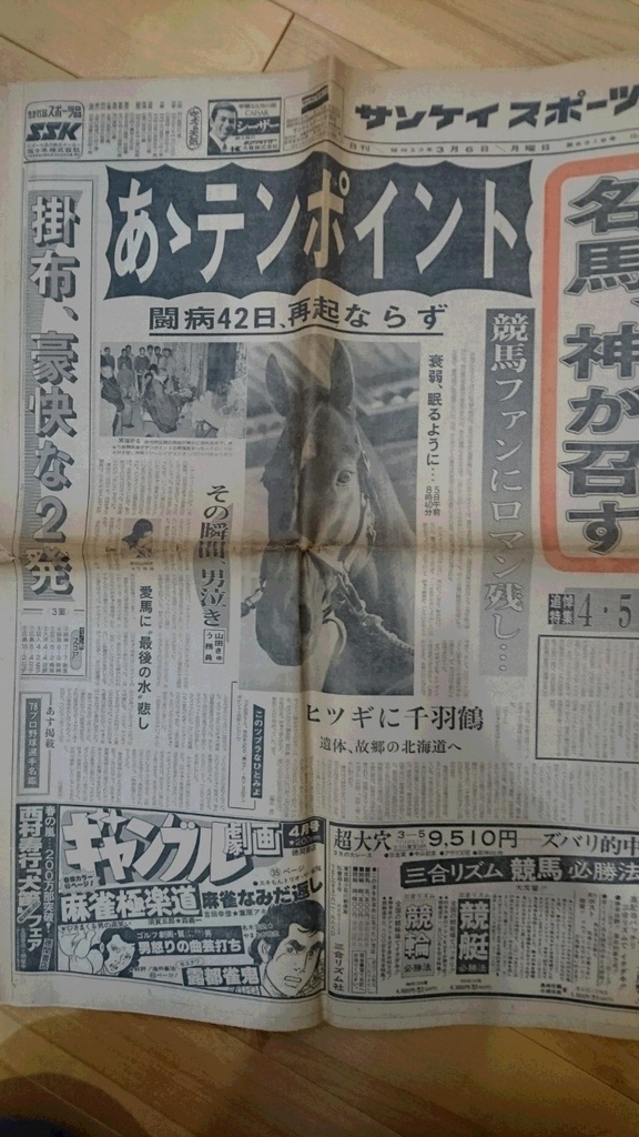 f:id:kagemucya:20190113164946j:plain