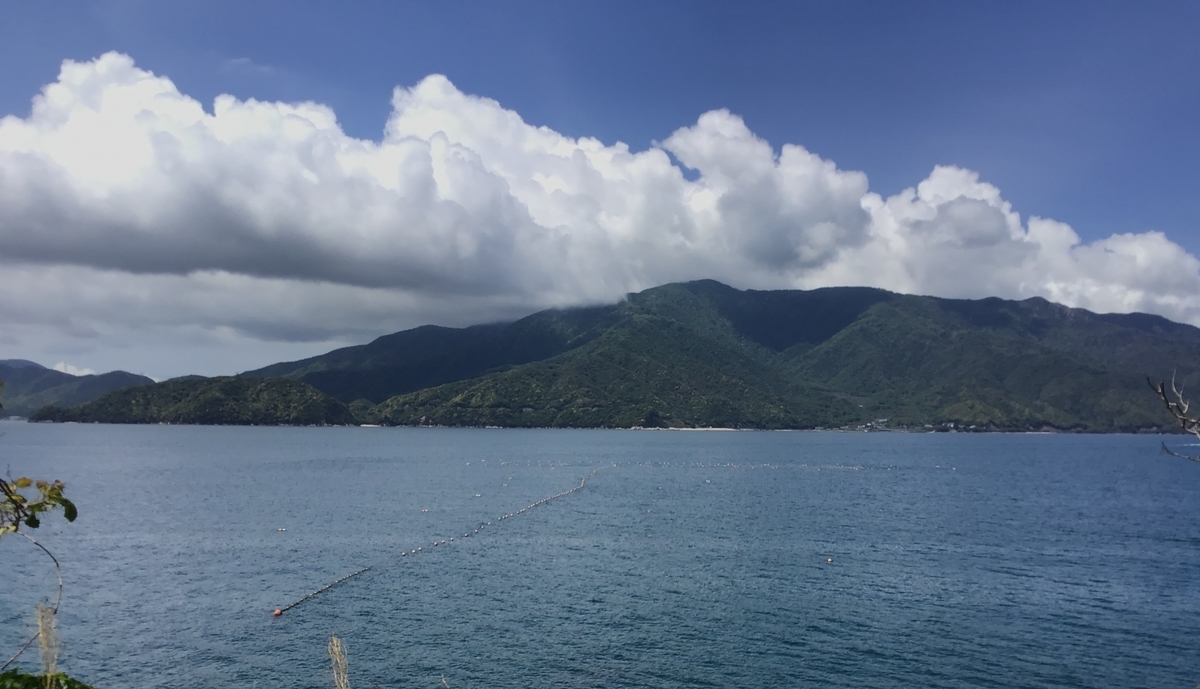f:id:kagenogori:20210517100855j:plain