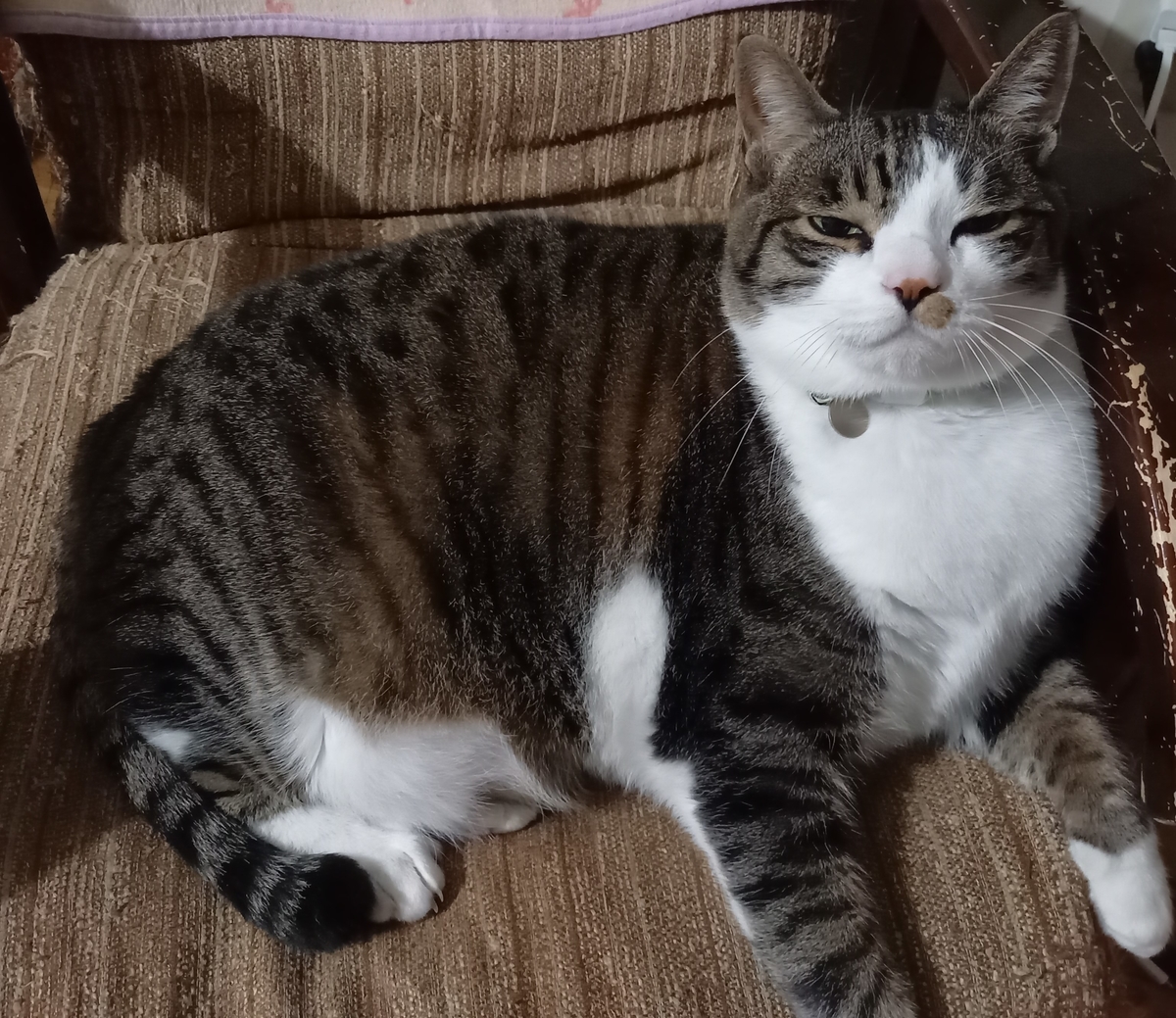 f:id:kagenogori:20220220114657j:plain