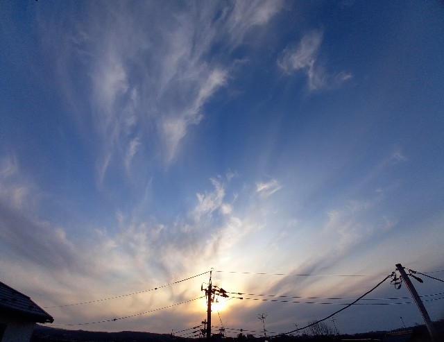 f:id:kagenogori:20260310120441j:image