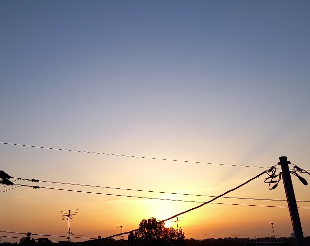 f:id:kagenogori:20260426084810j:image f:id:kagenogori:20260426084810j:image