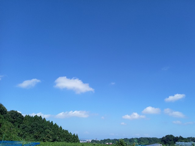 f:id:kagenogori:20260726154743j:image f:id:kagenogori:20260726154743j:image