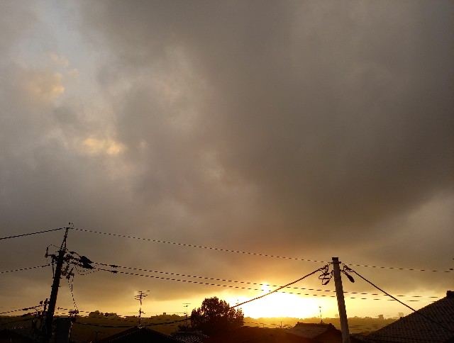 f:id:kagenogori:20260731132339j:image