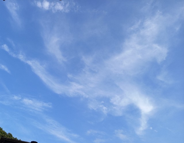 f:id:kagenogori:20260731132431j:image